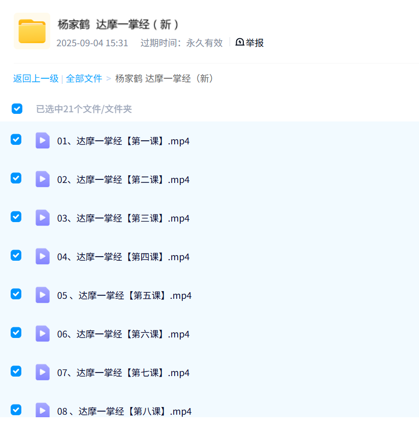 杨家鹤 达摩一掌经（新）21集