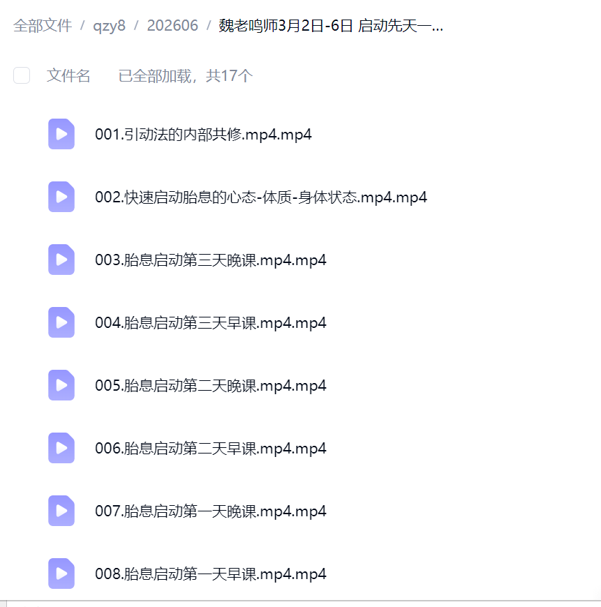 魏老师 启先动天一炁:胎息生养功 17集视频