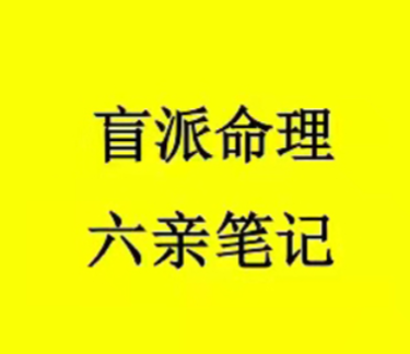 秘传命理学《盲派命理六亲笔记》（祖传资料、请勿外传）154页